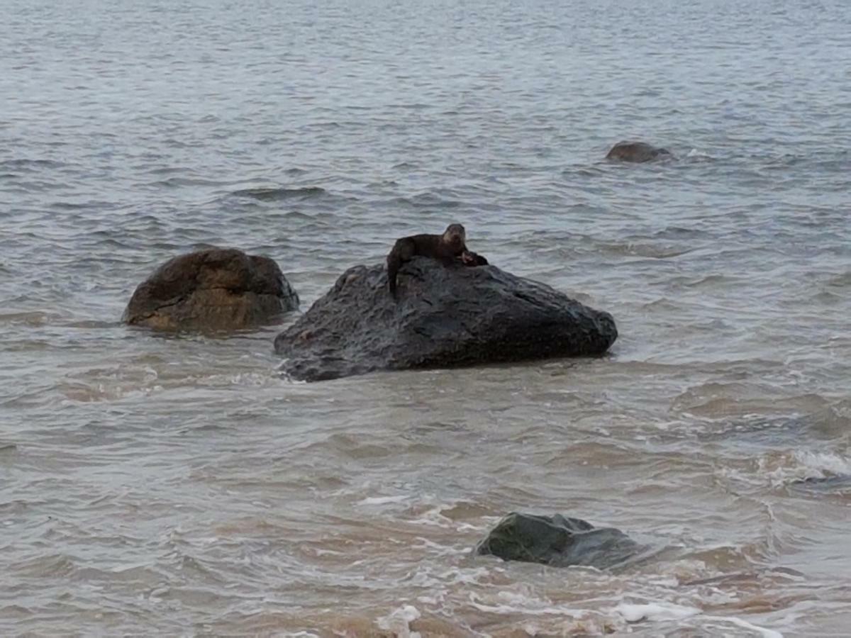 Shiskine Gairloch Exteriör bild
