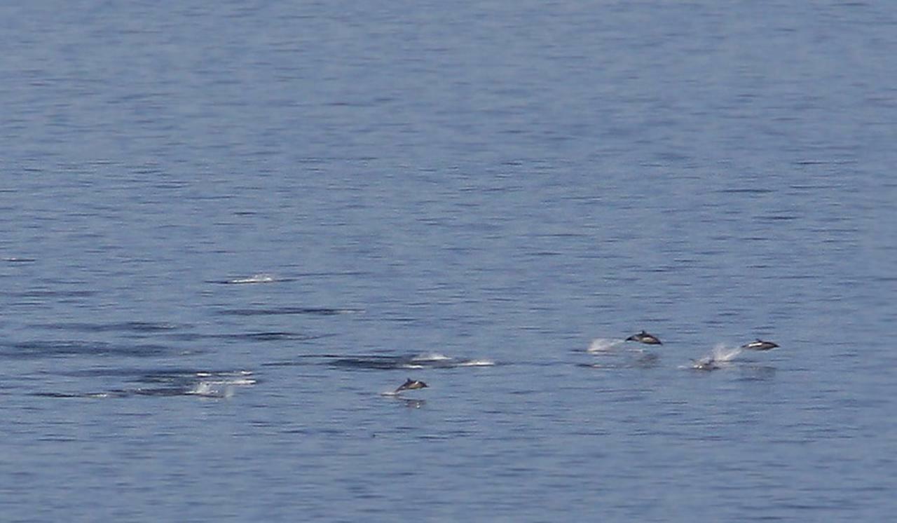 Shiskine Gairloch Exteriör bild